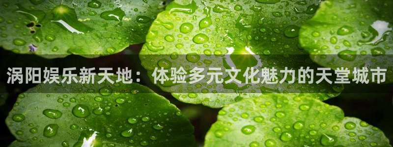 好彩运体育f开户：涡阳娱乐新天地：体验多元文化魅力的天堂城市