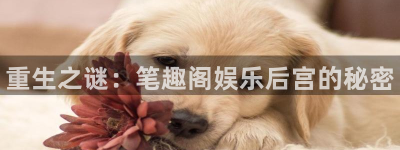 好彩运体育凯捷平台代理：重生之谜：笔趣阁娱乐后宫的秘密