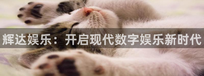 好彩运k：辉达娱乐：开启现代数字娱乐新时代