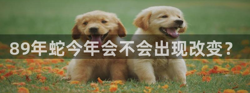 好彩运主管：89年蛇今年会不会出现改变？