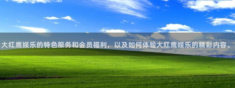 好彩运5：大红鹰娱乐的特色服务和会员福利，以及如何体验大红鹰娱乐的精彩内容。