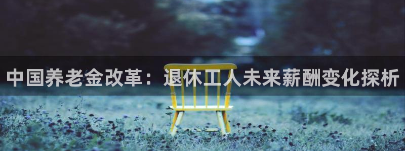 佛山市南海好彩运机电仪器有限公司：中国养老金改革：退休工人未来薪酬变化探析