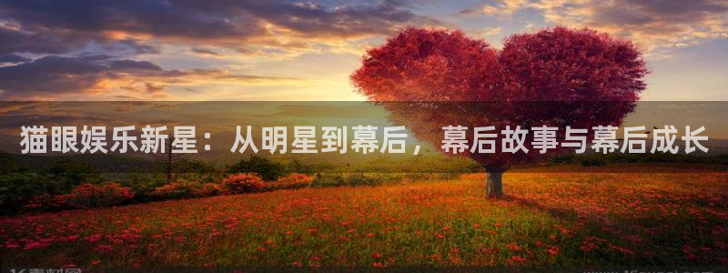 好彩运集团总部：猫眼娱乐新星：从明星到幕后，幕后故事与幕后成长