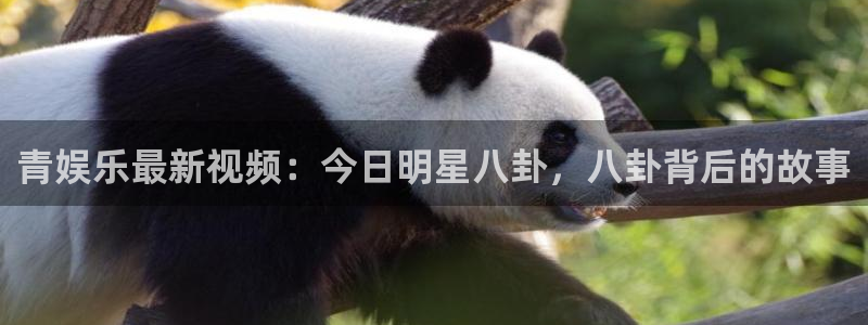 好彩运2官网：青娱乐最新视频：今日明星八卦，八卦背后的故事