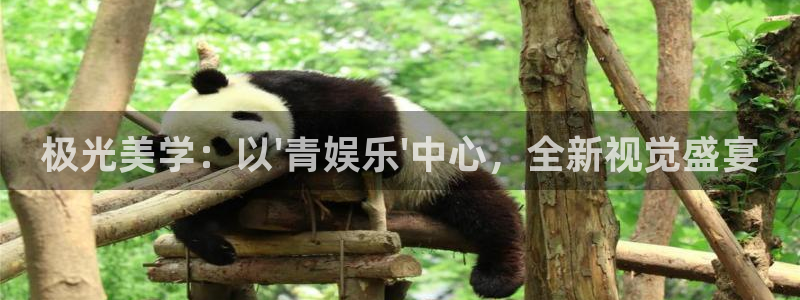 好彩运游戏有哪些好玩的：极光美学：以\'青娱乐\'中心，全新视觉盛宴