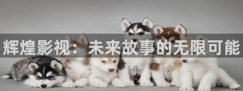 好彩运3代理：辉煌影视：未来故事的无限可能