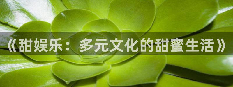 好彩运5招商：《甜娱乐：多元文化的甜蜜生活》