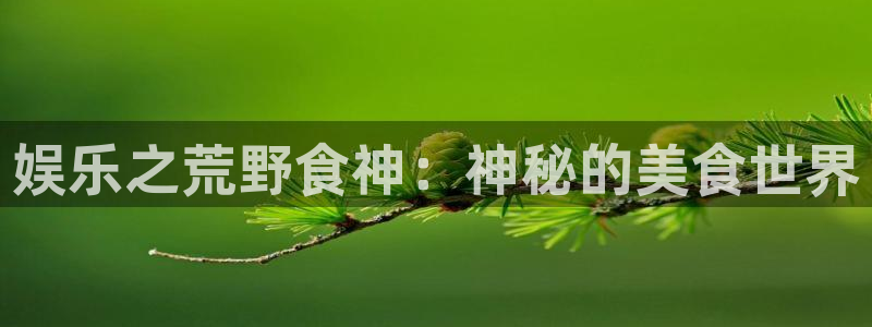 好彩运f凯捷注册：娱乐之荒野食神：神秘的美食世界