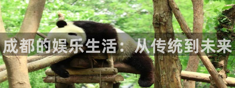 好彩运2平台登录：成都的娱乐生活：从传统到未来