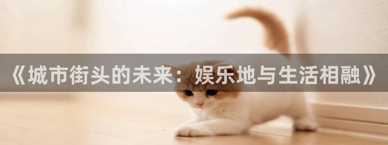 好彩运体育注册登录入口：《城市街头的未来：娱乐地与生活相融》