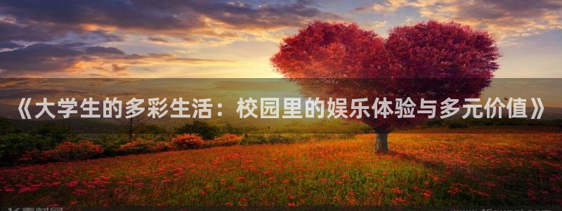 好彩运招商：《大学生的多彩生活：校园里的娱乐体验与多元价值》