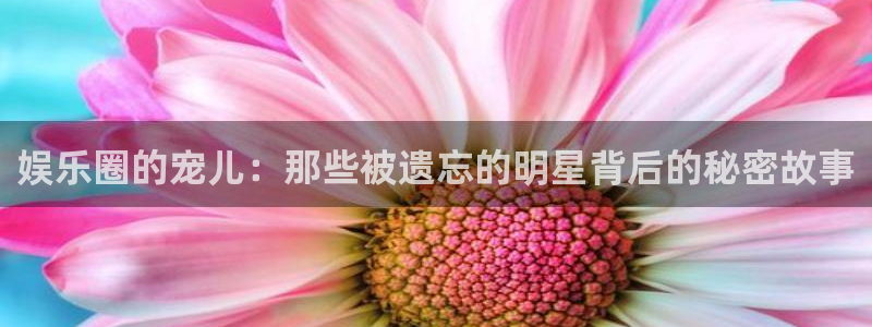 好彩运2平台登录：娱乐圈的宠儿：那些被遗忘的明星背后的秘密故事