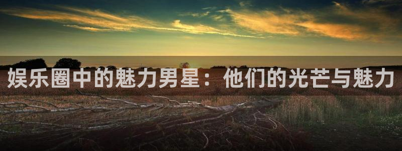 好彩运5招商：娱乐圈中的魅力男星：他们的光芒与魅力