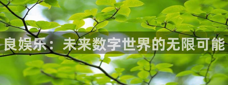 好彩运平台：良娱乐：未来数字世界的无限可能