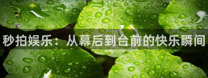 好彩运3平台注册：秒拍娱乐：从幕后到台前的快乐瞬间