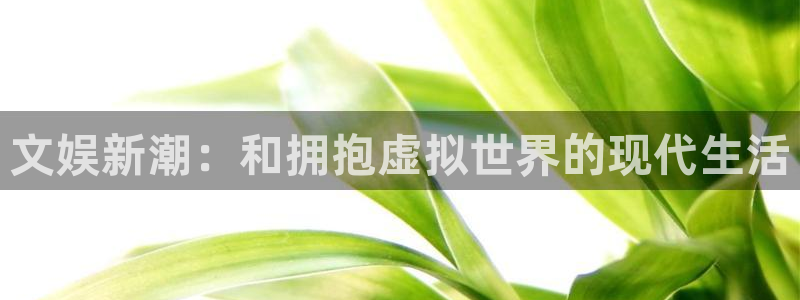 好彩运2平台注册：文娱新潮：和拥抱虚拟世界的现代生活