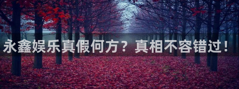 好彩运4代理：永鑫娱乐真假何方？真相不容错过！