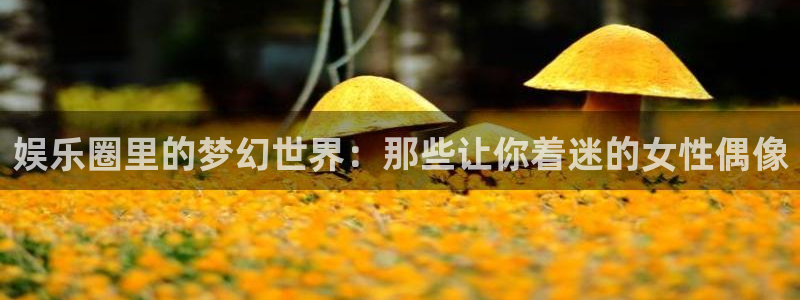 好彩运集团股票：娱乐圈里的梦幻世界：那些让你着迷的女性偶像